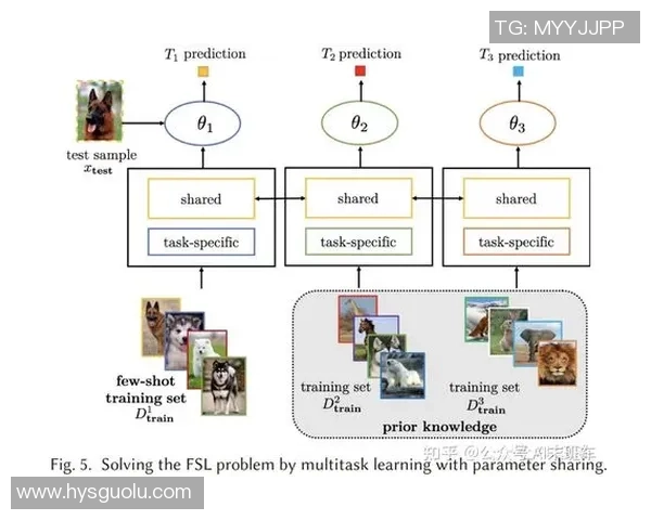 耀世娱乐小样本学习框架的创新应用与未来发展探讨