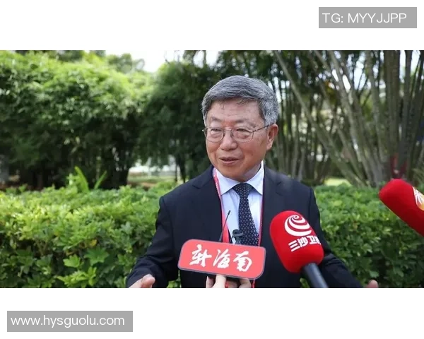 探索沐鸣2零知识证明系统的应用与未来发展潜力分析